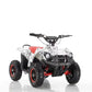36V 12Ah 800W 14KM/H Electric Eco Mini Quad ATV