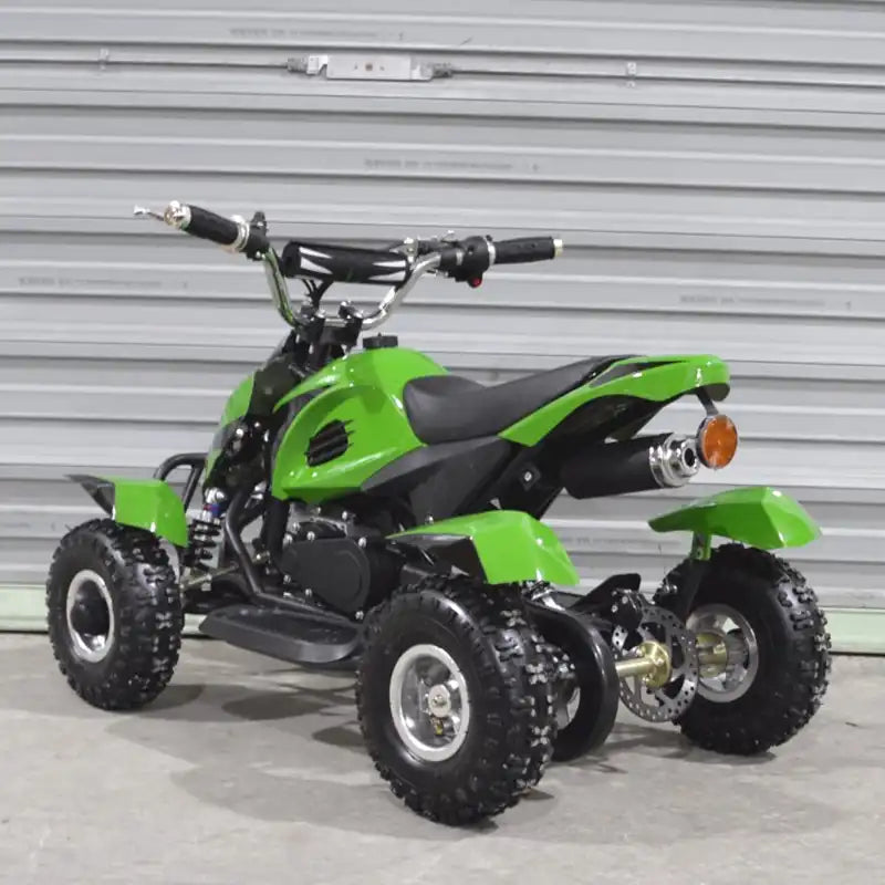 36V 12Ah 800W Speed 14KM/H Green Electric Off-Road Mini ATV